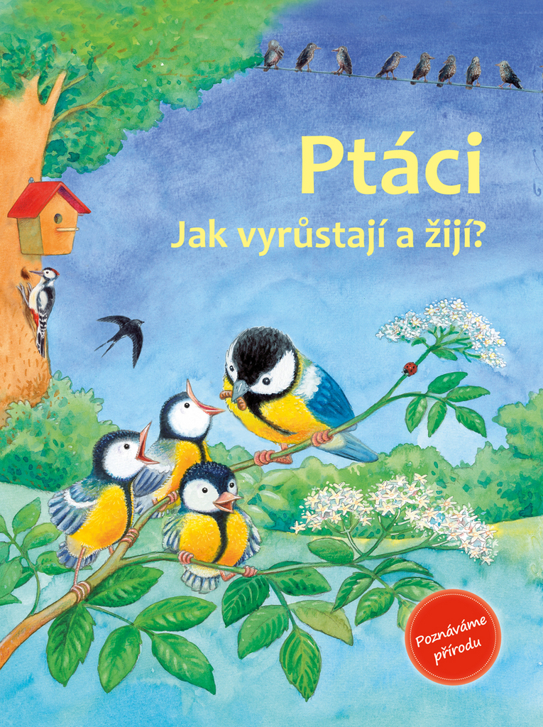  Ptáci